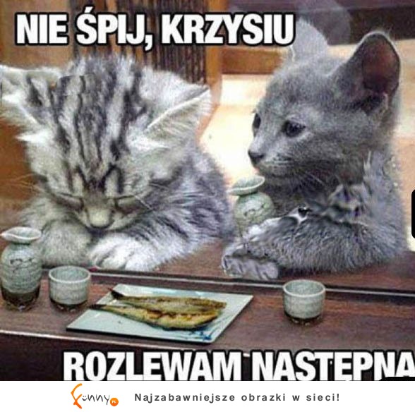 PROSZĘ NIE SPAĆ