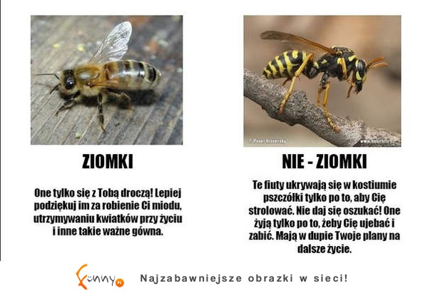 Uważajcie na te dwa małe stworzenia!  :)