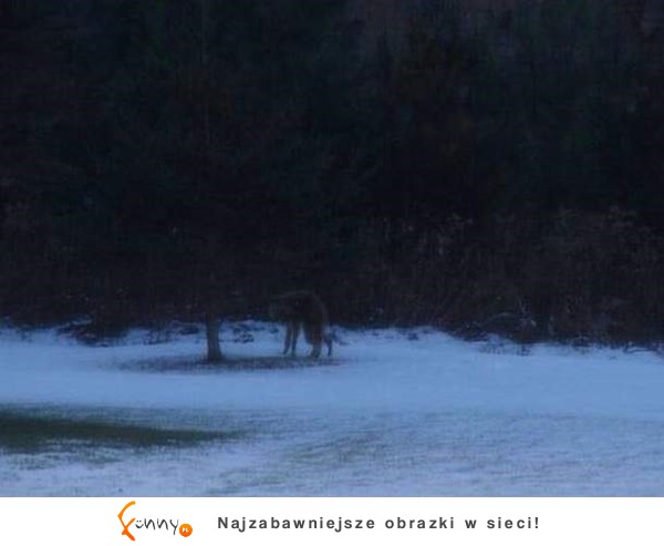 Najbardziej przerażające zdjęcia jakie powstały! Nie oglądajcie w nocy...