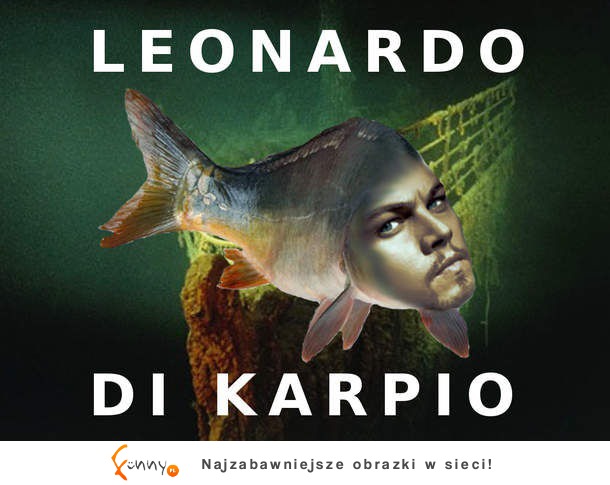 Leonardo di karpio xd