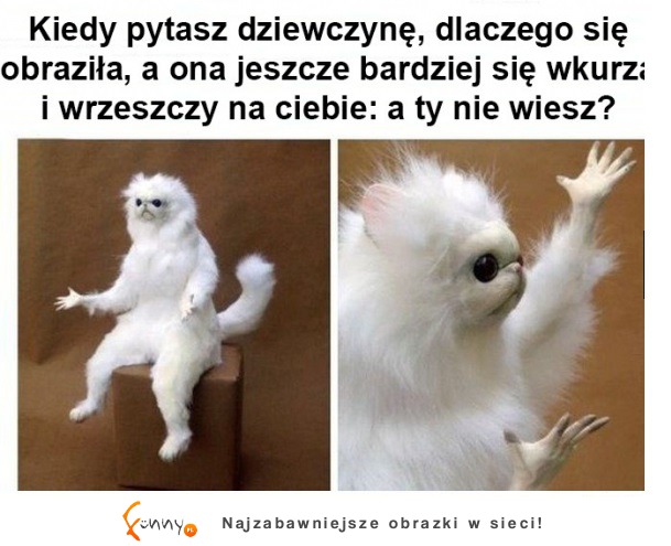 O co chodzi