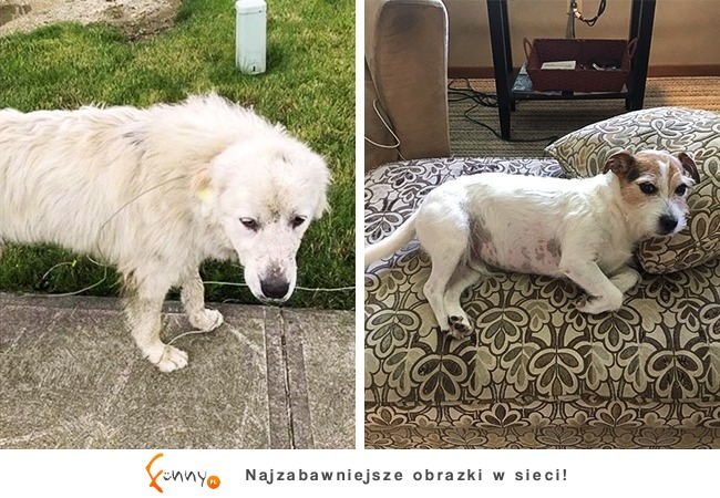 13 żenujących sytuacji, z których nie da się nie śmiać!