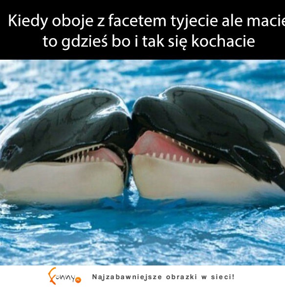 Kochające się grubaski