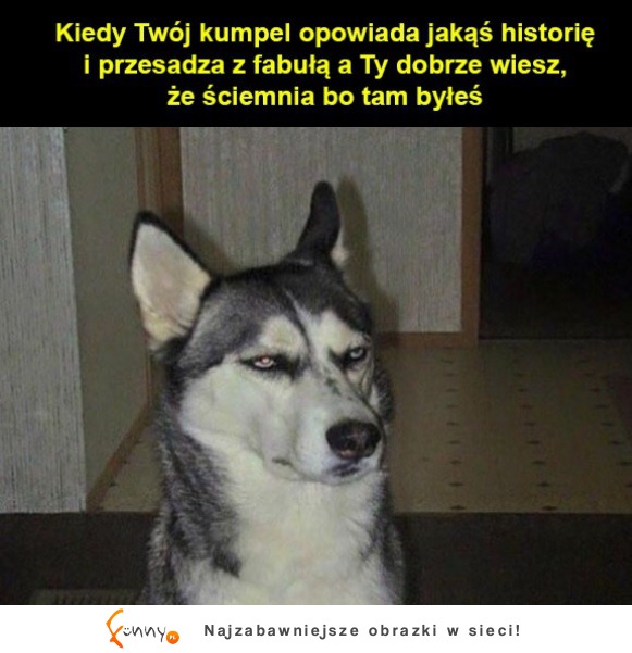 Kumpel opowiada