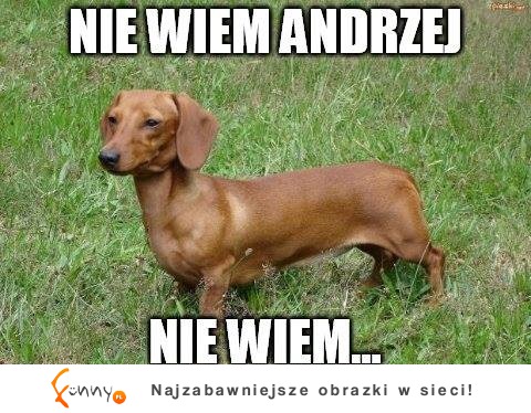 Nie wiem andrzej :D