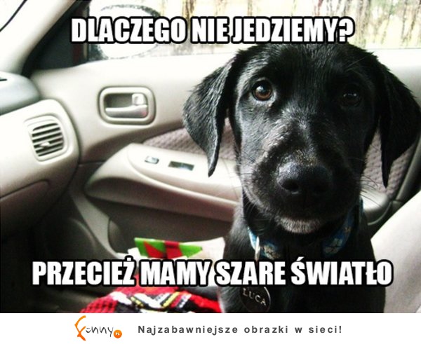 Dlaczego nie jedziemy