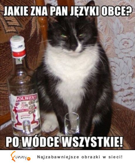 Po wódce wszystkie