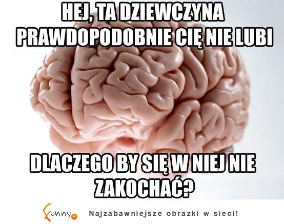 Skoro Cię nie lubi to się w niej zakochaj