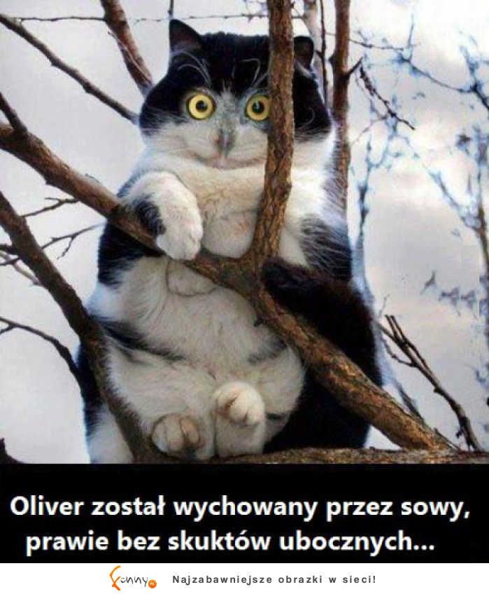 Oliver wygląda dziwnie! haha :D