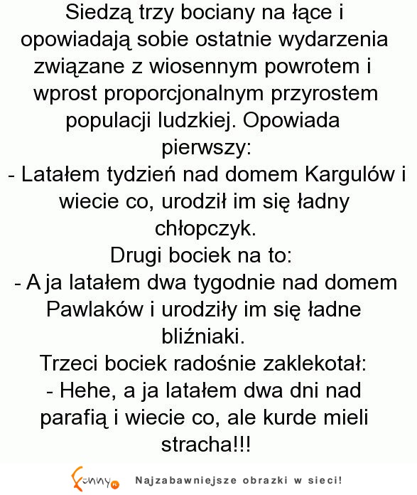 Bociany opowiadaja sobie historę, kto gdzie przyniósł dzieci.. DOBRE