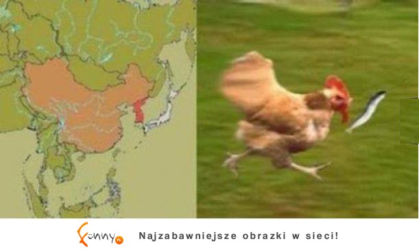 Już wszystko wiadomo