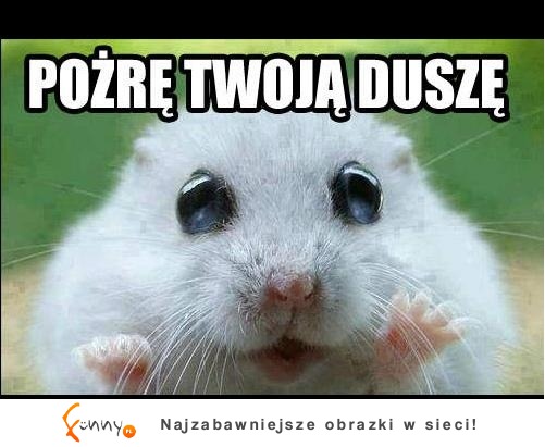 Pożrę twoją duszę :D