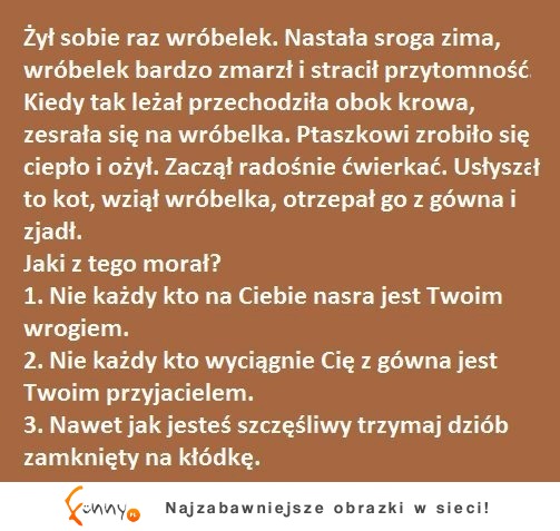 Historia o wróbelku z morałem. Cała prawda o życiu!