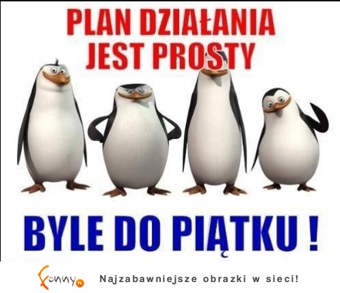 Plan działania