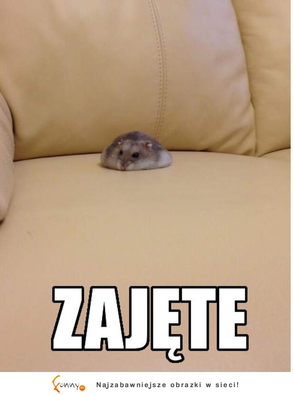 Zajęte :D