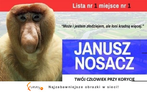 Idealny kandydat w najbliższych wyborach!