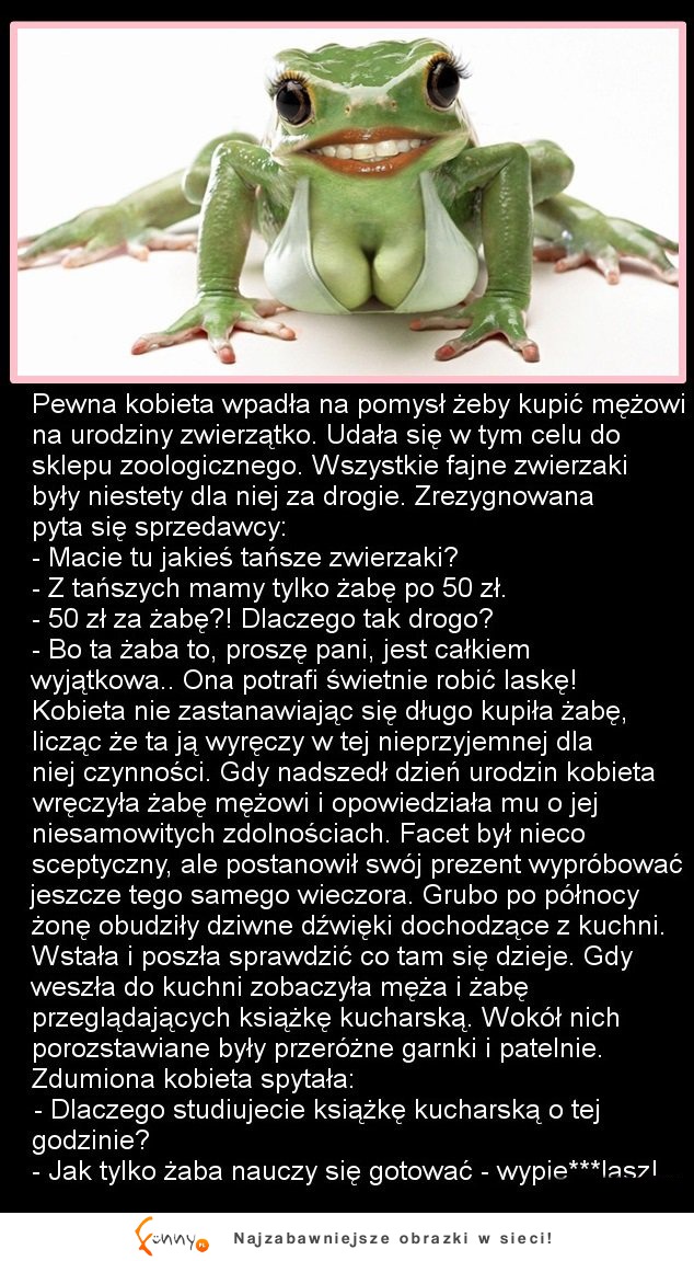 Żona kupiła mężowi żabę na urodziny... Sprawdź dlaczego właśnie ŻABĘ, mocne