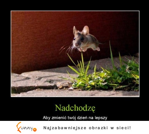 Nadchodzę :D