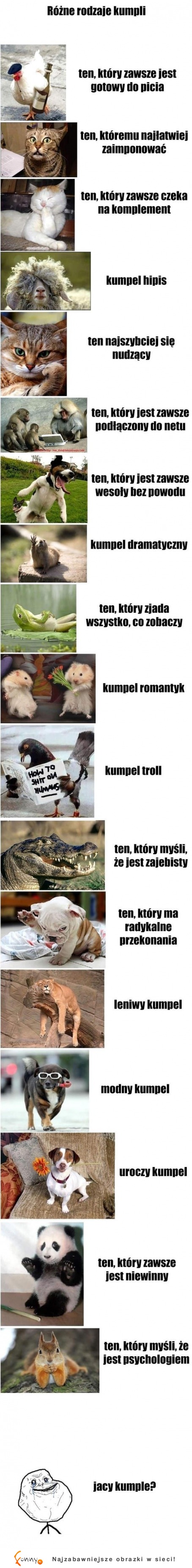 Rodzaje kumpli