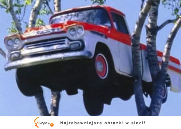 Aż boli jak się na to patrzy - jak te auta się tam znalazły? Aż boli jak się na to patrzy - jak te auta się tam znalazły?