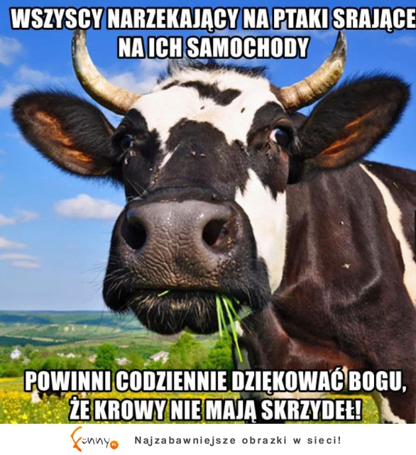 Dziękuj za to