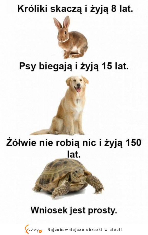 wniosek jest prosty :D