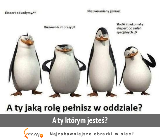 A ty jaką rolę pełnisz? :D