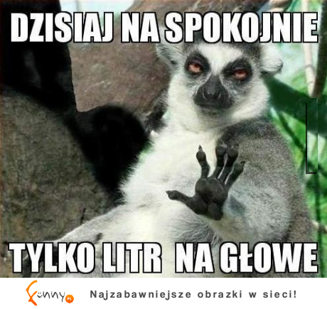 Dzisiaj na spokojnie