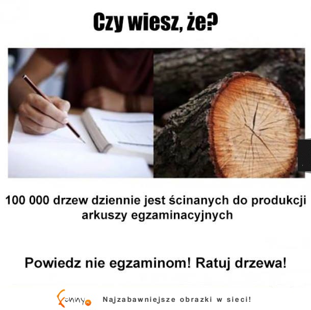Ratuj drzewa