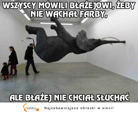 Słoń Błażej