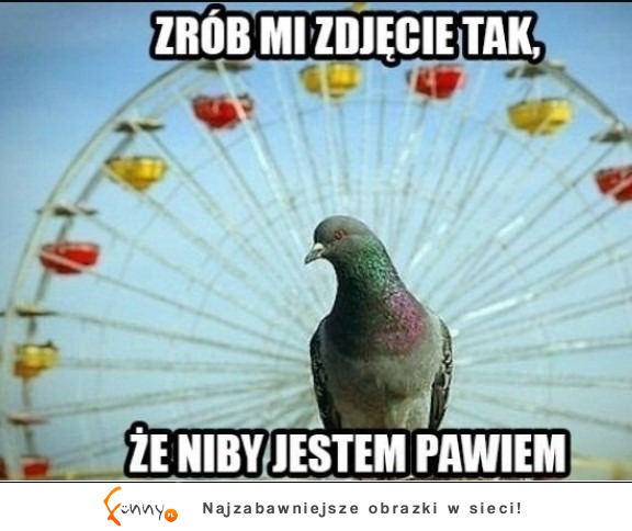 że niby jestem