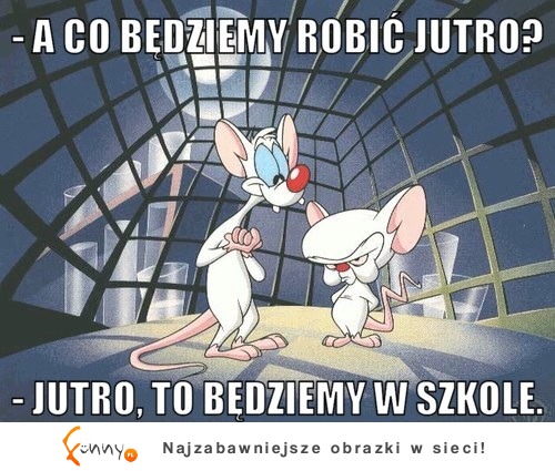 A co będziemy robić jutro? :(