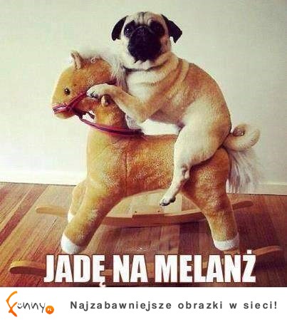 Na melanż :D