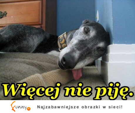 Więcej nie piję