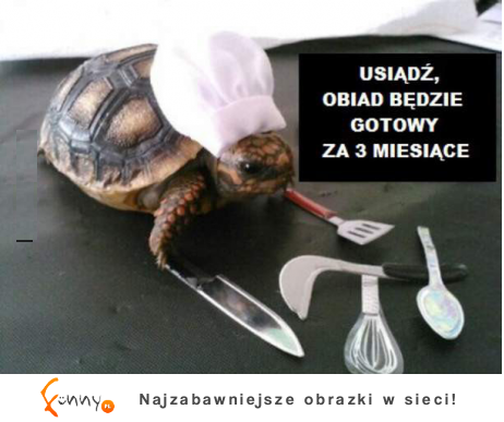 Obiad będzie gotowy za 3 miesiące