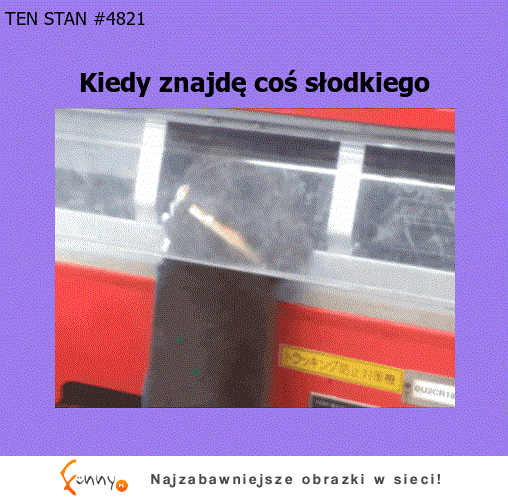 Coś słodkiego :)