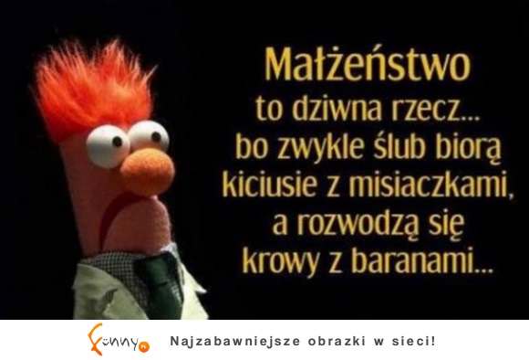 Małżeństwo to dziwna rzecz