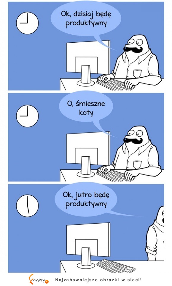 o, śmieszne koty