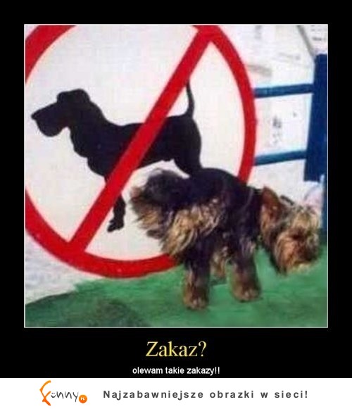 Zakaz? :D