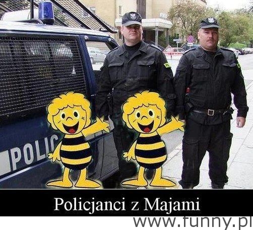 policjanci z majami
