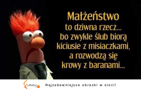 dziwne rzeczy