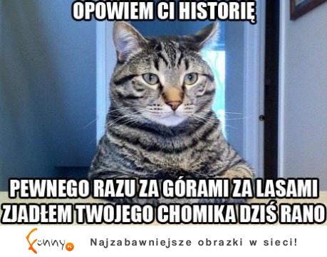 Opowiem ci historię