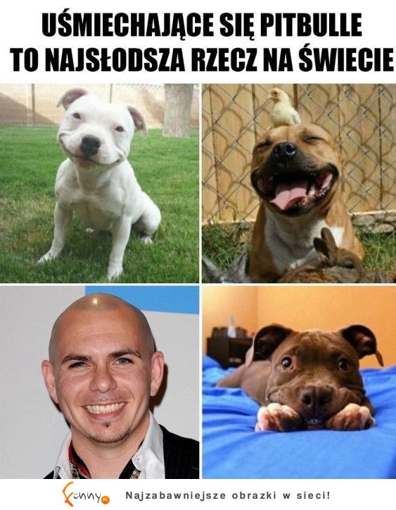 SŁODKO!