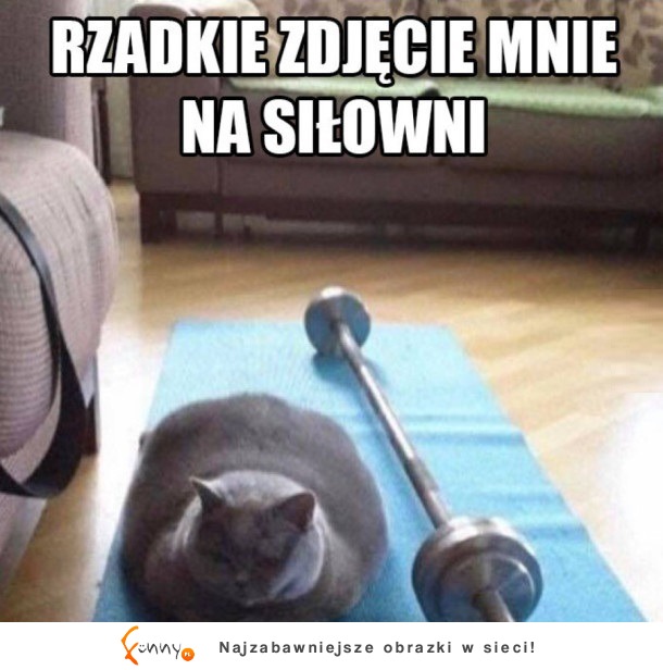 nowy rok, nowa ja