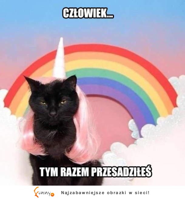 Przesada człowiek