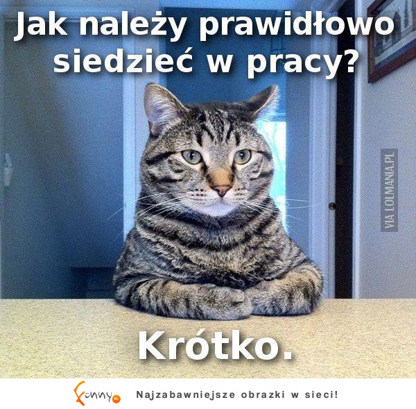 Krótko