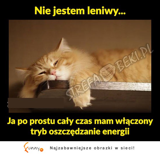 Nie jestem leniwy