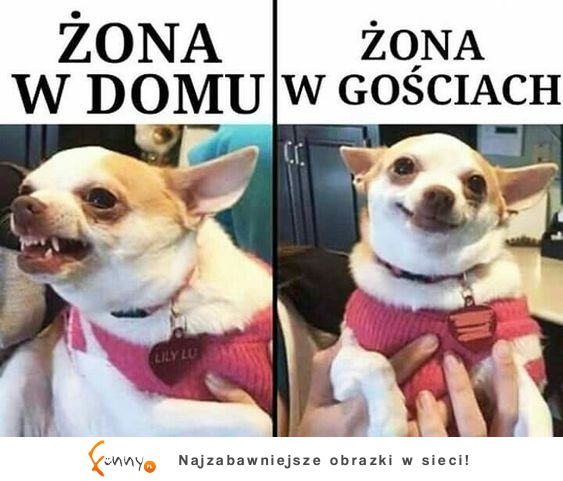 żona taka jest