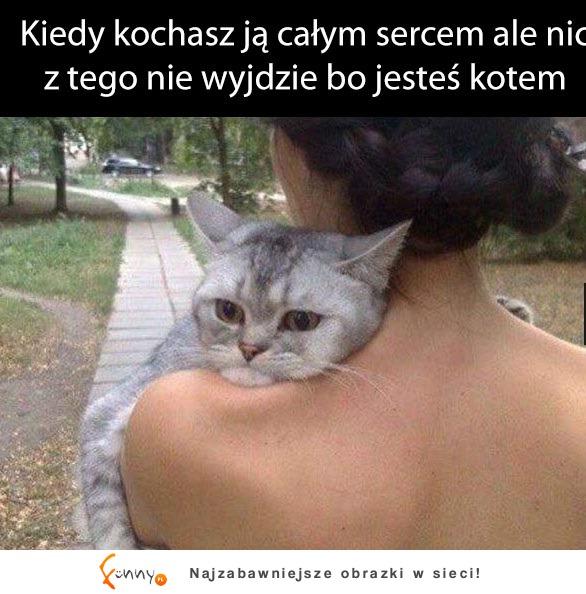 Biedny koteł