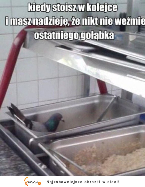 ostatni gołąbek